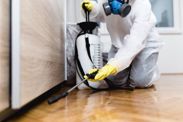 Best Affordable Pest Control Services  in Perry, IA