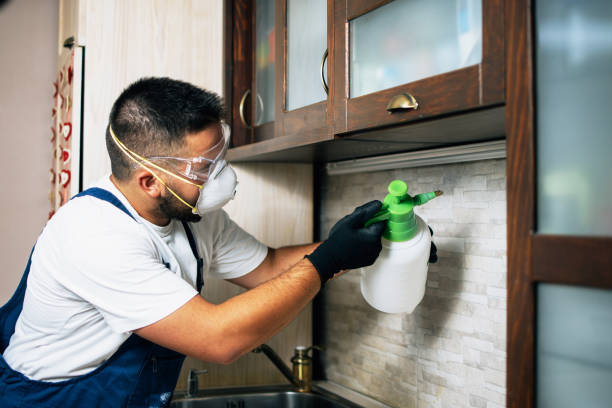 Best Pest Prevention Services  in Perry, IA